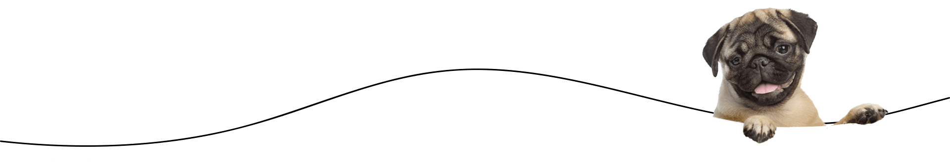 Foreground image